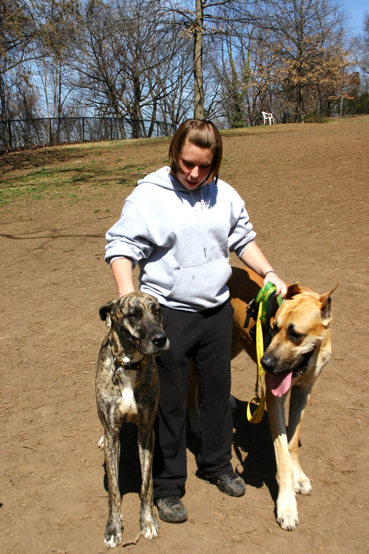 “Doggy Bone Hunt” Kicks off Spring at Dog Park