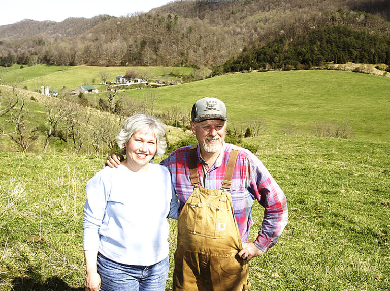 Hinlickys Expand Easement, Work With Landcare