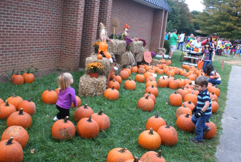 Fall Fest at Penn Forest
