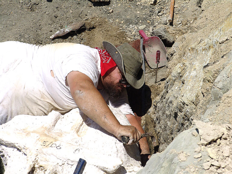 Scientist Turns To Public to Help Fund Excavation