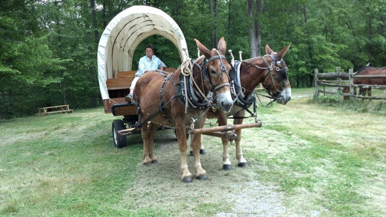 “Spiritriders” Brings Back  Covered Wagon Days