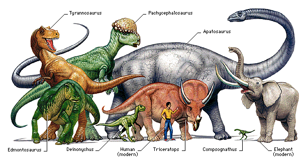 Dinosaurs Return to Science Museum On January 12