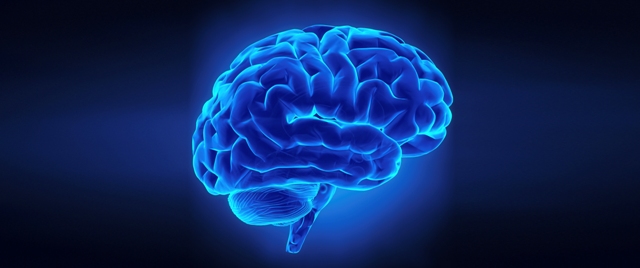 VT Carilion Celebrates The Amazing Human Mind with “Brain School”