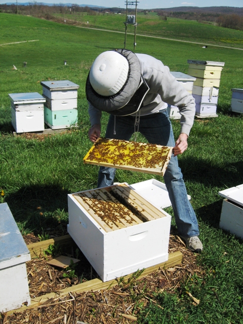 Workshop Offered for Beginning Beekeepers