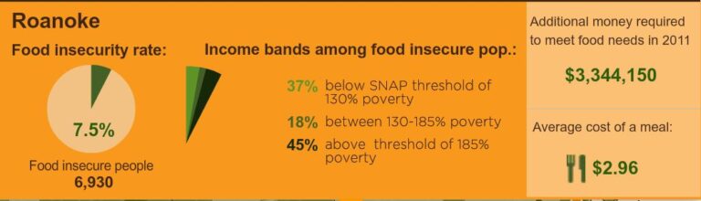 17.2% of Roanoke City Residents at Risk of Going Hungry