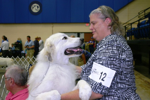 Mountain Valley Dog Show Attracts All Breeds