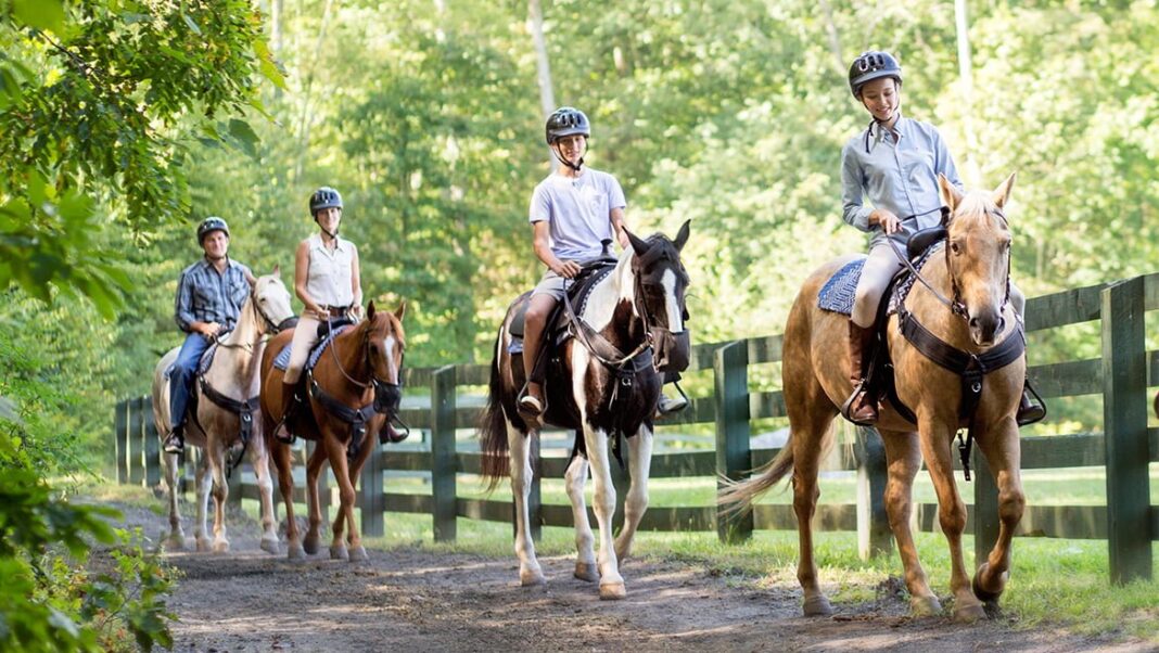 Explore Park to Open Equestrian Services The Roanoke Star News