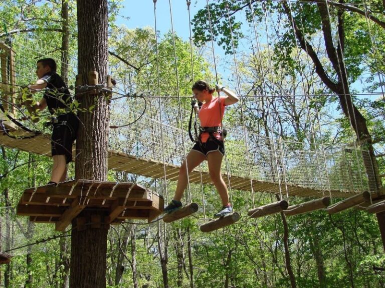 Aerial Adventure Course Coming to Explore Park in July