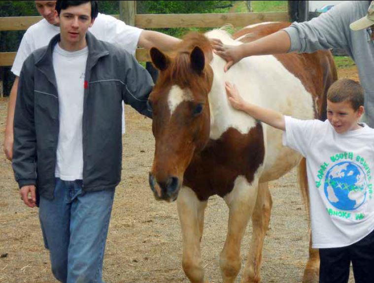 New Book Benefiting Local Equine Therapy Agency Recounts True Stories of Remarkable Healing