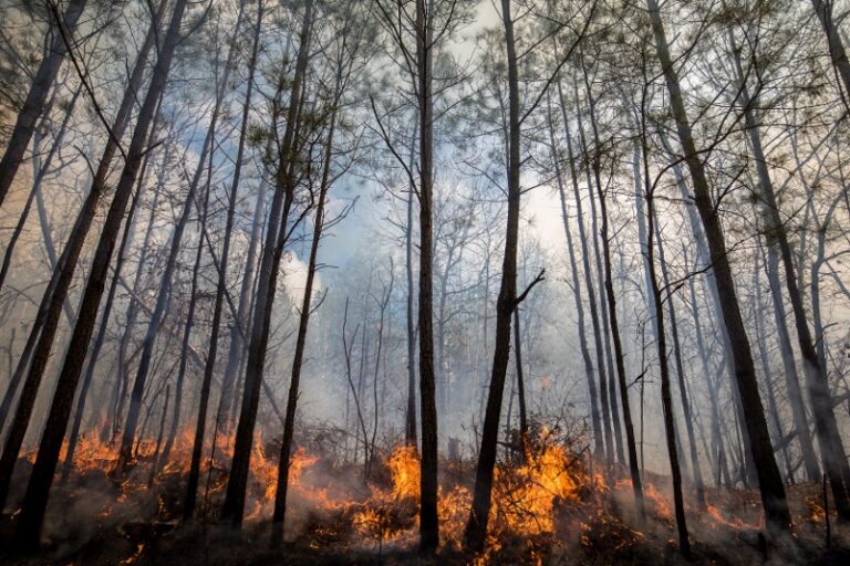 Parkway Temporarily Closed From Milepost 66.3 to 85.9 to Assist Fire Crews 