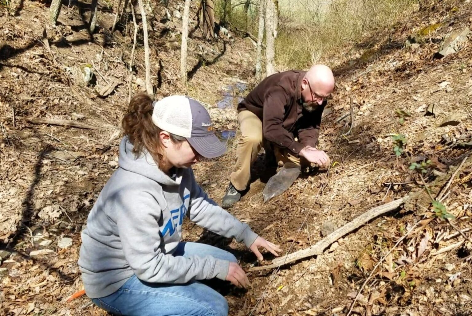 New Grants to Expand Forest Farming in Appalachian Woodlands and Beyond ...