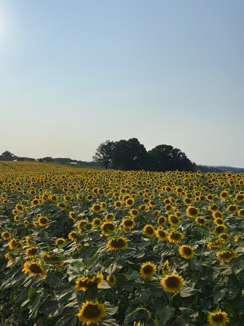 Roanoke Region Gets Tourism Financial Boosts From Richmond | The