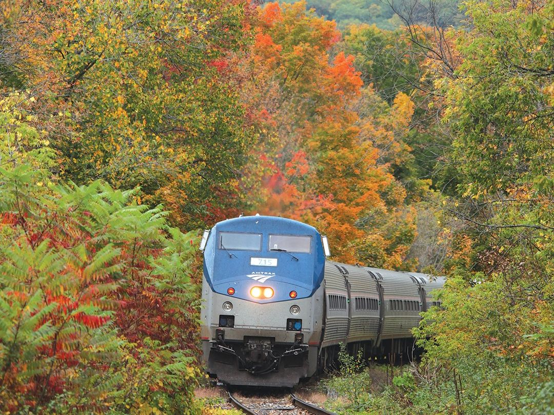 Amtrak Fall Foliage Train 2024 Issi Rhetta