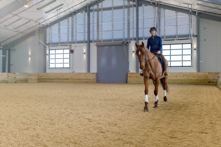 New Equine Performance Center Impresses As It Begins Serving Horse Community