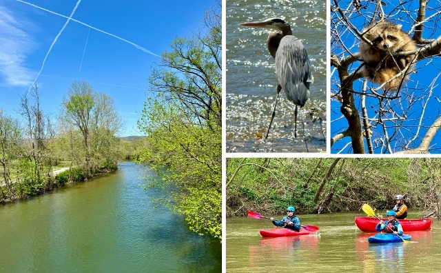Adventure Into The Great Outdoors on Greenways and Trails in The Salem Area